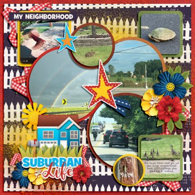 Animals in our neighborhood 2019