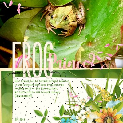 Frog Prince
