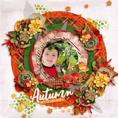 Autumn Means Apple Orchard