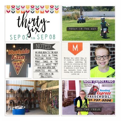 2019 PL Week 36