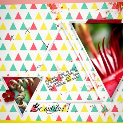 FindTheBeauty