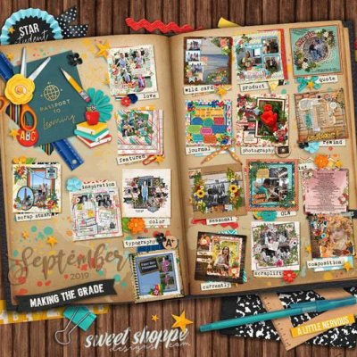 sept 2019 passport