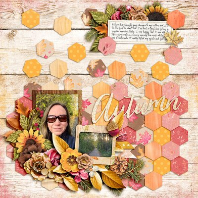 Autumn Walk 2019
