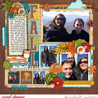 Windy Fall Days