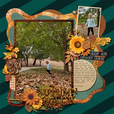 Autumn Walk