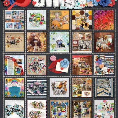 DSD Love-a-thon Bingo