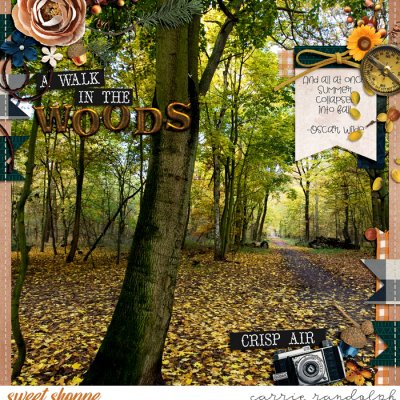 A Walk in the Woods