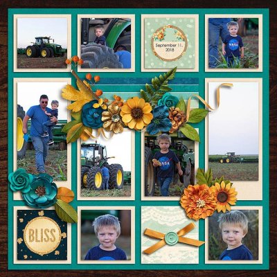Drilling Wheat 2018 (right)