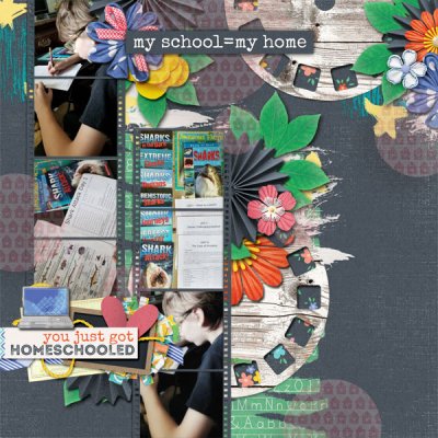 homeschool4