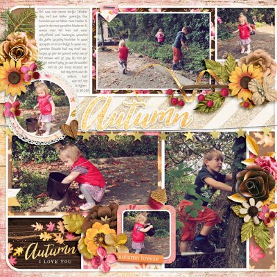 Autumn Beauty1