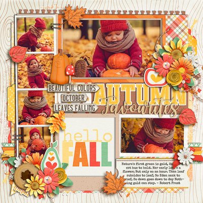 autumn favourites