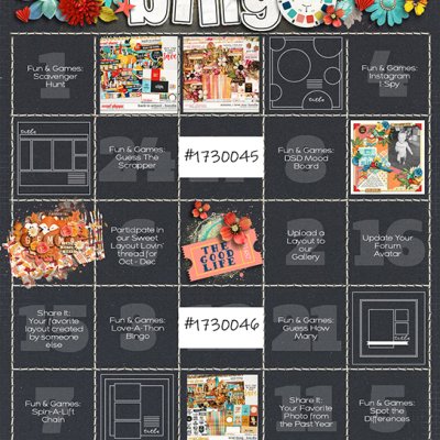 DSD Bingo 1 Line