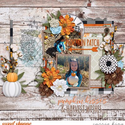 Pumpkin Patch
