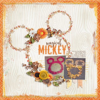 ~Magical Mickey~