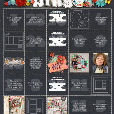 DSD Bingo Card