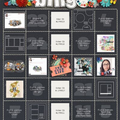 2019 DSD Bingo