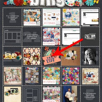 DSD 2019 Bingo