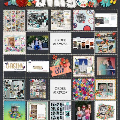 2019_DSDbingosm