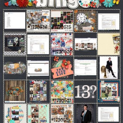 DSD Bingo Card 2019