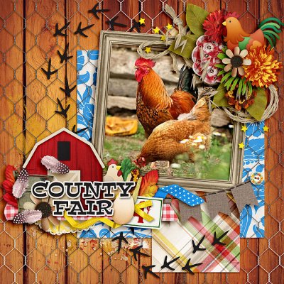 Country Fair
