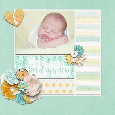 Ten Days New- Oct Passport #16