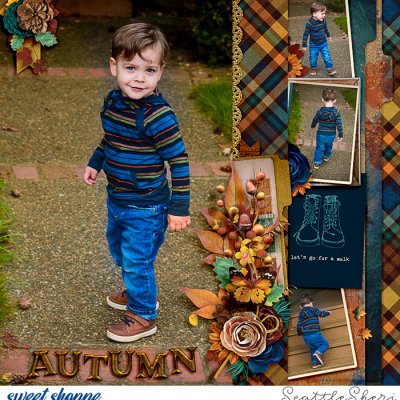 Autumn Walks