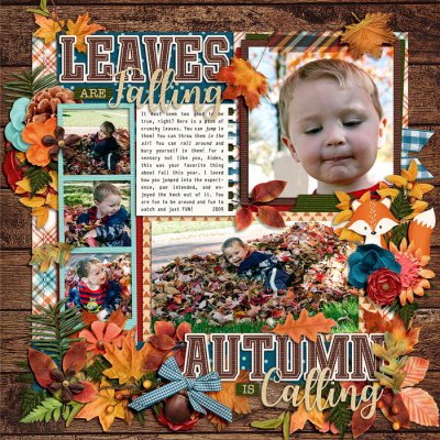 Leaves are Falling