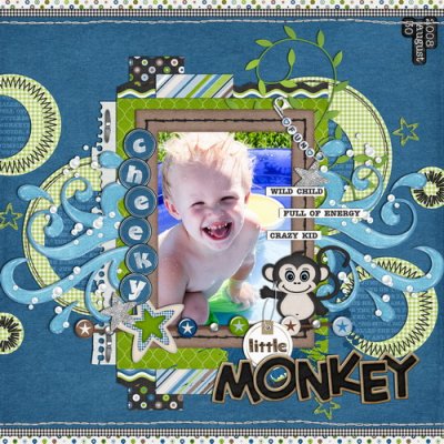Cheeky Little Monkey