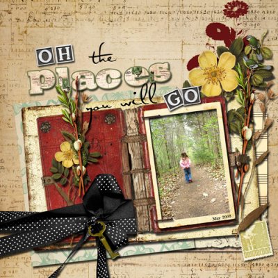 places-you-will-go