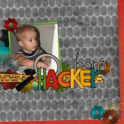 Born Hacker