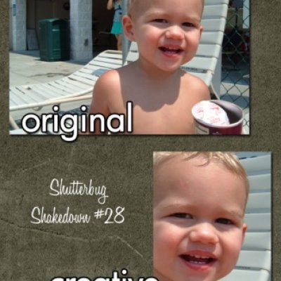 Shutterbug Shakedown #28