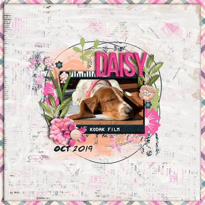 Daisy