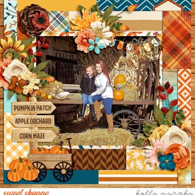 Pumpkin Patch
