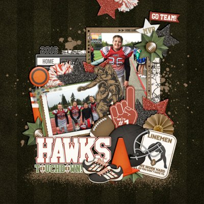 Hawks2016