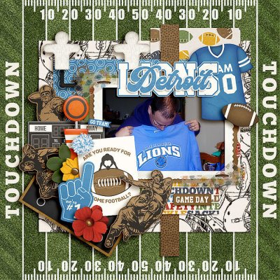 Detroit Lions