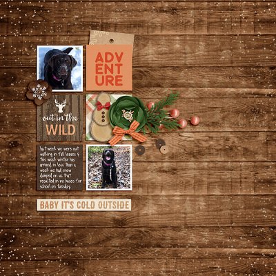 November 2019 Passport to Laughter: Challenge 11-Wild Card