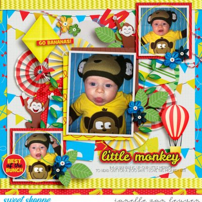 Little Monkey