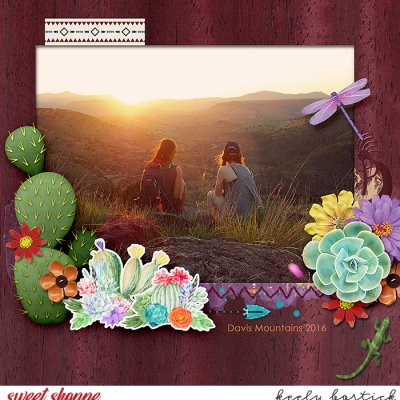 Davis Mountains