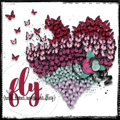 Fly