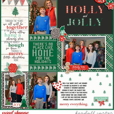 Home for the Holidays