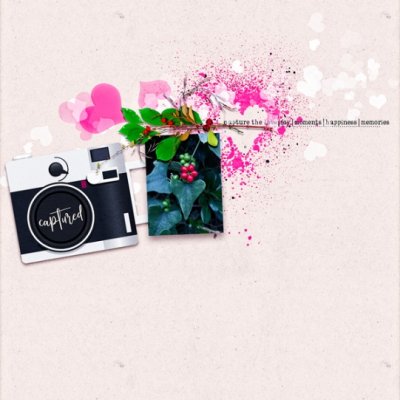 CaptureHappiness