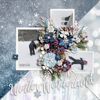 Winter Wonderland