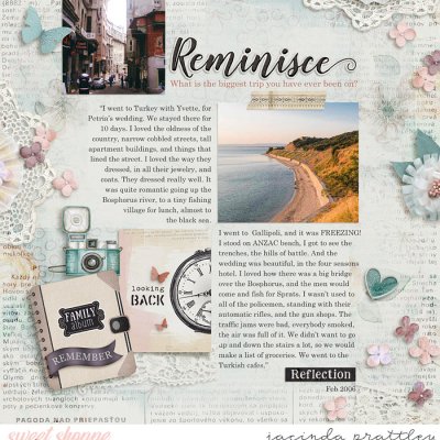 Reminisce