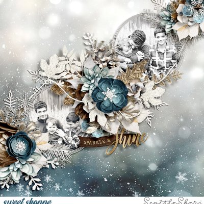 Sparkle & Shine