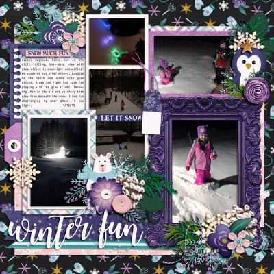 Winter Fun