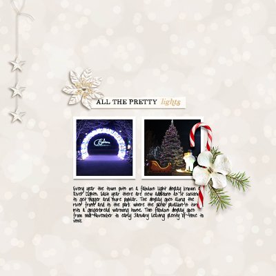 December Passport Challenge 7-Photography : Holiday Lights