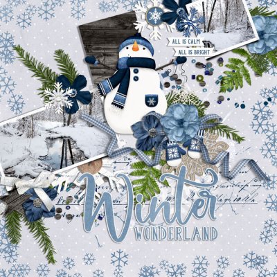 winter wonderland
