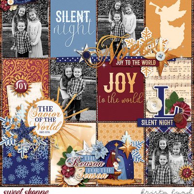 Our Joys 2016