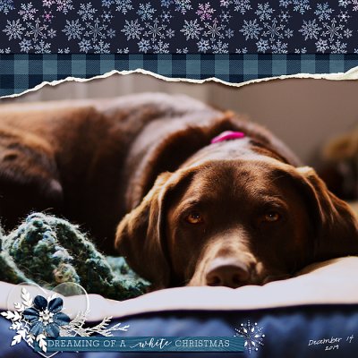 December Passport Challenge 16-Rewind/Flashback: Torn Paper Edges