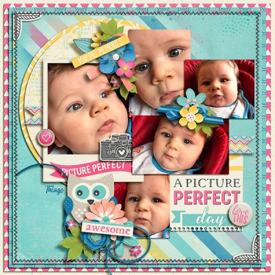 Picture perfect
